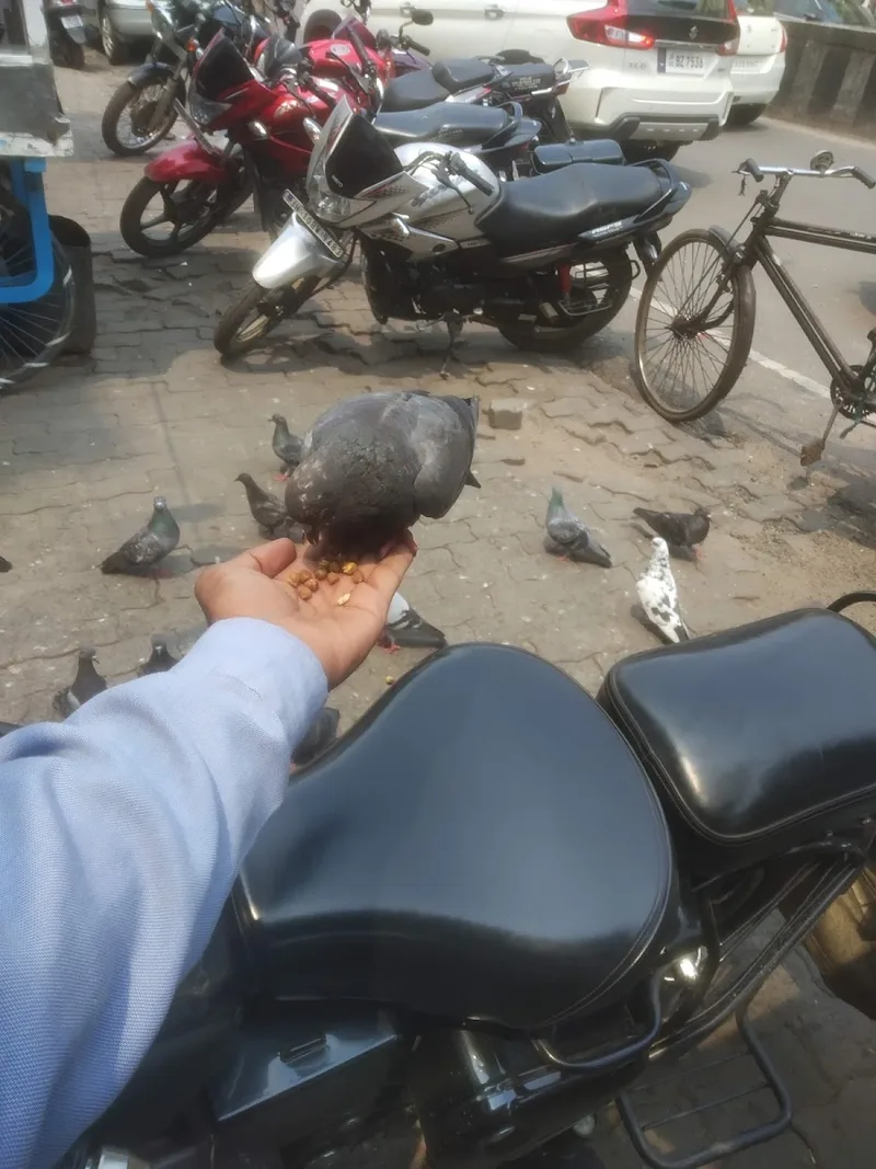 vivo India Service Center — mobile phone repair shop (photo 12)